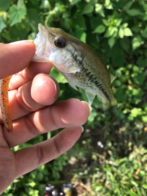 枚方　天の川合流地点
