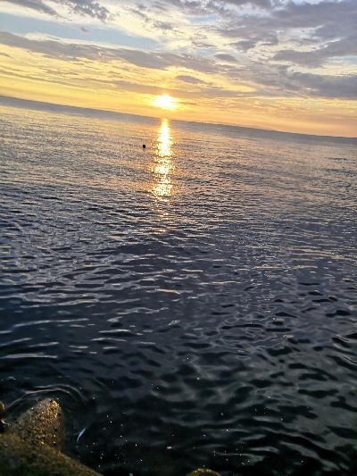 太刀魚はワンチャンス