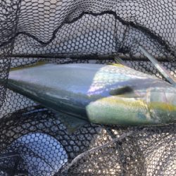 オフショアジギング