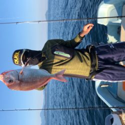 ベイトたくさん