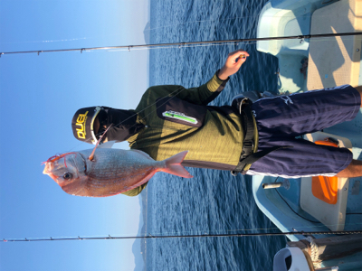 ベイトたくさん