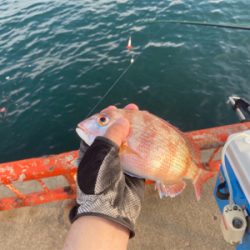 夕まずめなのに…