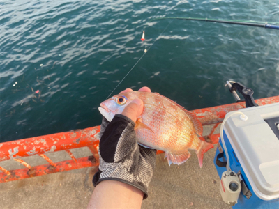 夕まずめなのに…