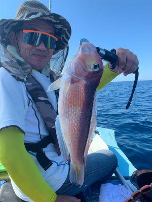 マイボートでアマダイ狙い。8目釣り達成！レ…