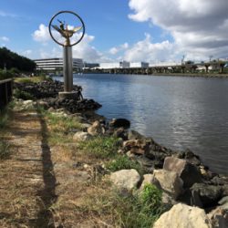 ハゼ がダメだったので、ボラに遊んでもらいました。