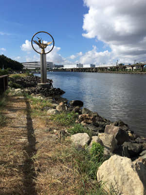 ハゼ がダメだったので、ボラに遊んでもらいました。