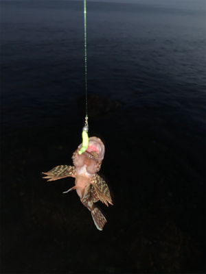 フロート　ガシリング&ベリング