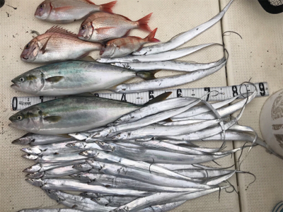 ジギング　キャスティング