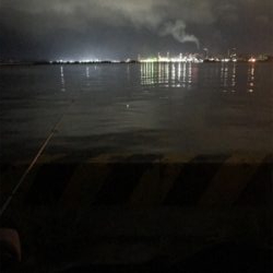 水軒鉄鋼団地にてタチウオ