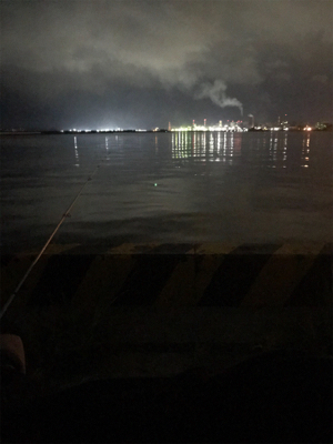 水軒鉄鋼団地にてタチウオ