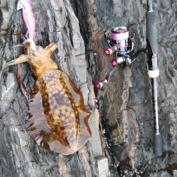 久しぶりの磯釣り(^_^)