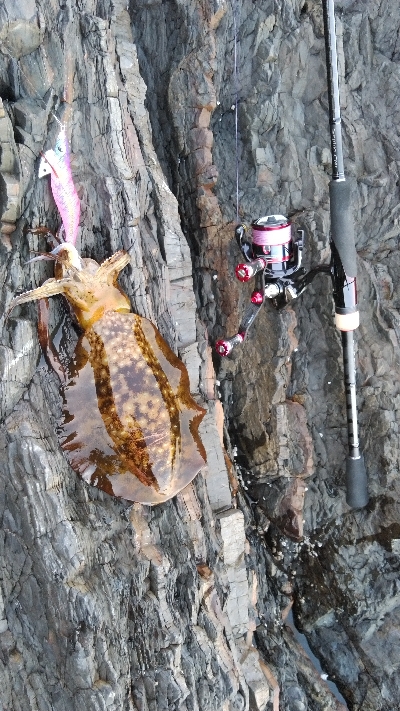 久しぶりの磯釣り(^_^)