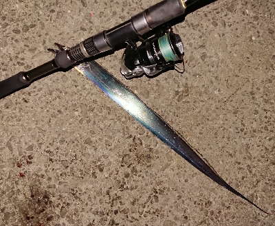 今シーズン初陣