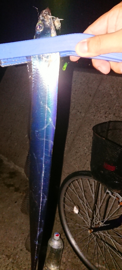 ちょっと成長した刀