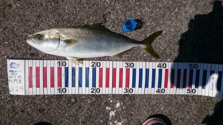 ショアジギ&飲ませ