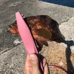 降りて歩いた甲斐が有りました!