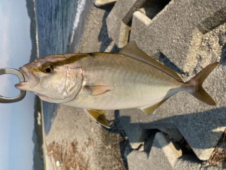 釣りキャントップ祭