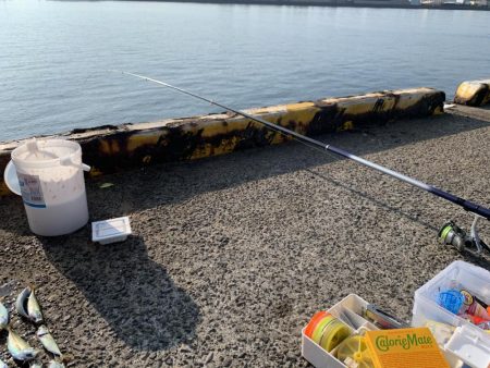 久しぶりのアジ