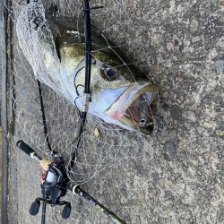 盆休み最終日・・・