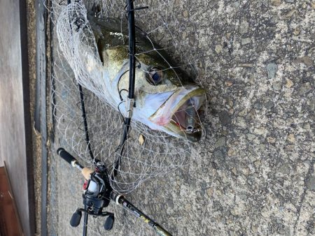 盆休み最終日・・・