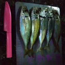 フロートアジング