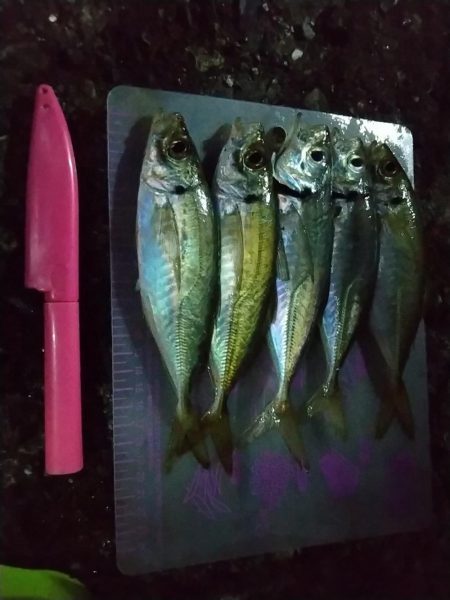 フロートアジング