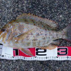 ロケット発射！