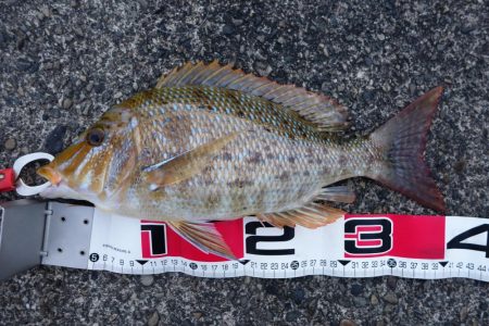 ロケット発射！