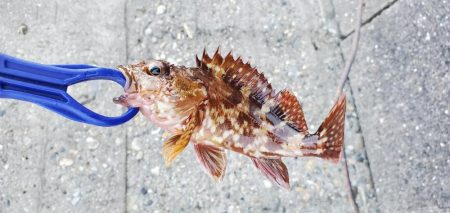 小物がぼちぼち