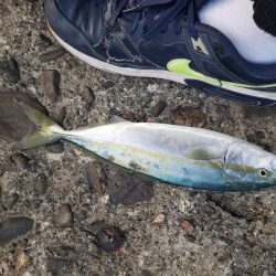 ダブルハンドルでなければ引きずり込まれていた…