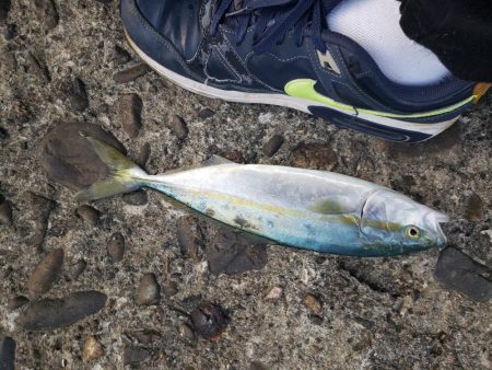 ダブルハンドルでなければ引きずり込まれていた…