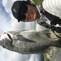 A.P.P ルアーシリーズにてチヌ 連続ヒット!