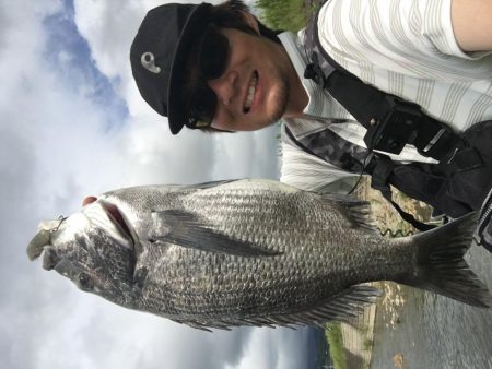 A.P.P ルアーシリーズにてチヌ 連続ヒット!