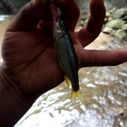 おじさん二人で