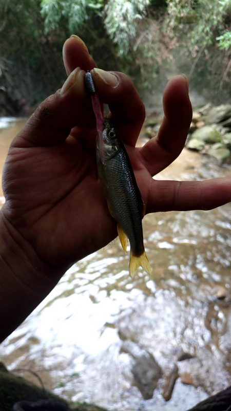 おじさん二人で