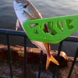 夏休みファミリーフィッシング