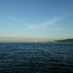 ケンサキイカGet出来ました♪