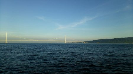 ケンサキイカGet出来ました♪