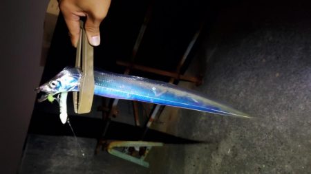 仕事帰りにワインド