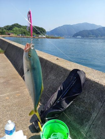 ショアジギング&キス釣り