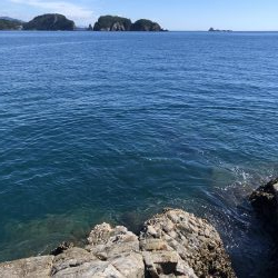 なんじゃこりゃ！