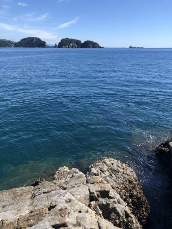 なんじゃこりゃ！