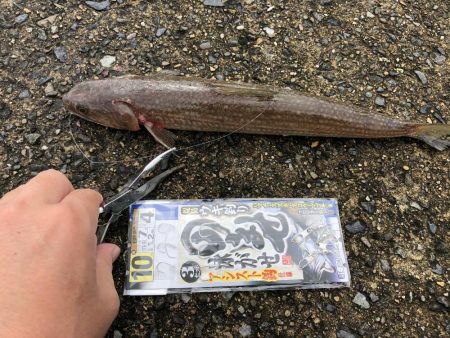 豆アジで呑ませ