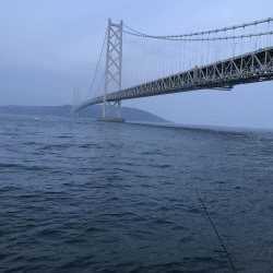 青物不在！アジ渋め