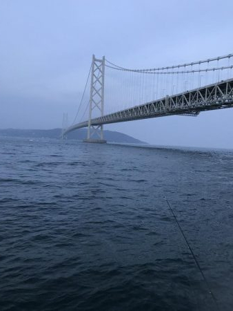 青物不在！アジ渋め