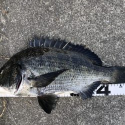 イチノ兄弟、釣果!