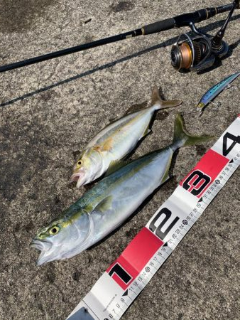 ショアジギング