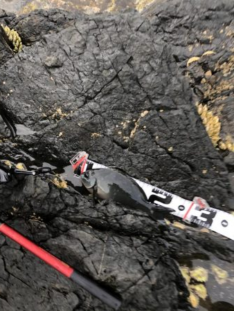 フカセ2回目‼︎