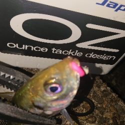 しぶしぶなアジング