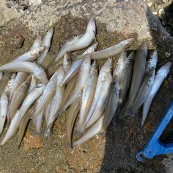 まだまだ続くよキス祭り